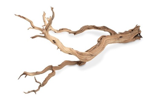 Nadeco ghostwood baum - nadeco,