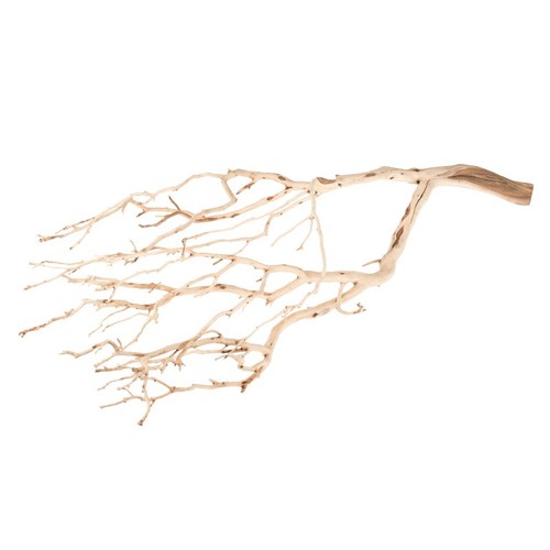 Manzanita baum sandgestrahlt - baum,